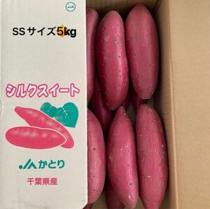 千葉県かとり産　シルクスイート　箱込約5kg 2Sサイズ　規格外　訳あり品　さつまいも　焼き芋に