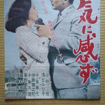 映画ポスター　夢がいっぱい暴れん坊　意気に感ず　小林旭　浅丘ルリ子　Ｂ２サイズの２枚セット_画像8