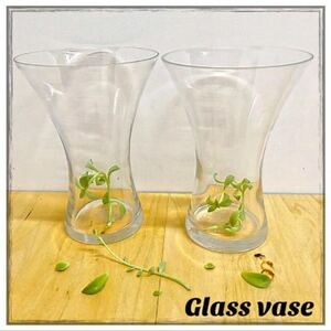 ガラスの花瓶 2点 大きいサイズ テラリウムなどにも 新品 涼しげ シンプル 人気品！