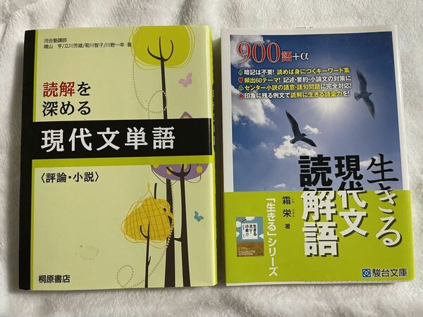 生きる現代文読解語／霜栄(著者)+ 読解を深める現代文単語　評論・小説／桐原書店編集部(編者) ２冊セット