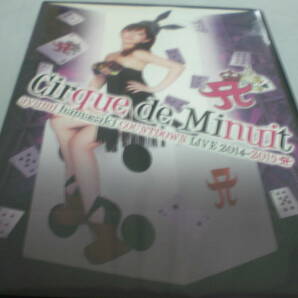 DVD 浜崎あゆみ Cirque de Minuit ayumi hsmsdski COUNTDOWN LIVE 2014-2015A ブックレット付きの画像1