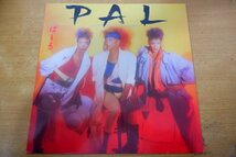 L3-170＜LP/US盤＞Pal / Truth For The Moment_画像1