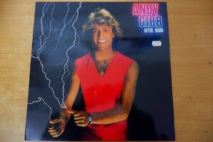 L3-293＜LP/2394 247/美品＞アンディ・ギブ Andy Gibb / After Dark