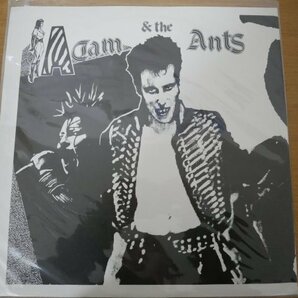 N3-099＜LP/新品未開封＞Adam & The Ants / Madam Stanの画像1