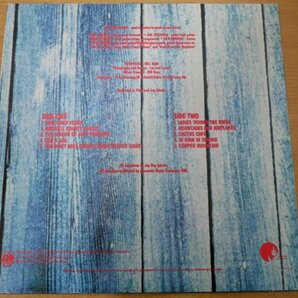 N3-206＜LP/US盤/美盤＞Jay Boy Adams / SD18221の画像2