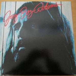 N3-206＜LP/US盤/美盤＞Jay Boy Adams / SD18221の画像1