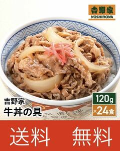 吉野家牛丼の具　120g×24食