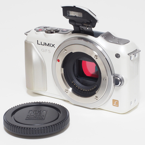 ★ 動作保証・実用品 ★ パナソニック LUMIX GF5 ホワイト ボディ本体のみ (付属品・バッテリー無し)