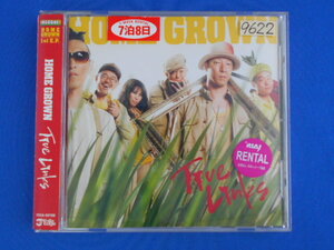 CD/HOME GROWN ホーム・グロウン/True Links トゥルー・リンクス/中古/cd20420