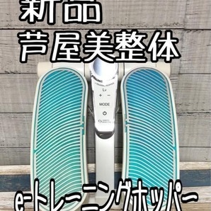新品☆芦屋美整体eトレーニングホッパー♪骨盤EMS足ふみエクササイズ☆☆k434