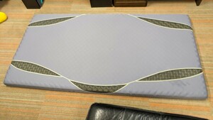 AirSleep air sleep west river industry single mattress single size wave type bed pad futon 