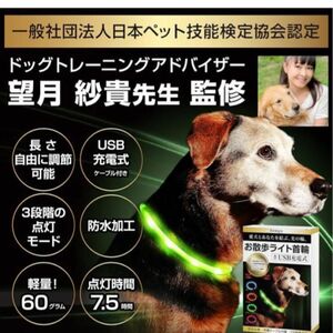 散歩 ペット 犬 小型犬 犬のおもちゃ 首輪 犬 お散歩ライト ライト お散歩ライト首輪 レインボー 光る首輪 光る