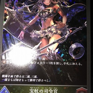 ★新品★シャドウバースエボルヴ★Shadowverse EVOLVE★PR-077 PR 宝杖の司令官★プロモ★レアカード★の画像1