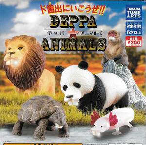 即決》DEPPA ANIMALS デッパ アニマルズ【全５種フルコンプセット】送料140円～新品未開封 ライオン/パンダ/亀/猿/ウーパールーパー