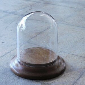 戦前 オーク材のガラスドーム HK-a-03487 / アンティーク ショーケース ガラスケース アトリエ 風防