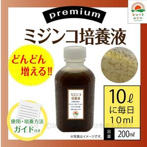 プレミアム【ミジンコ培養液200ml】メダカ卵錦鯉金魚熱帯魚ゾウリムシめだかタマミジンコ オオミジンコ PSBとクロレラと青水併用可の画像1