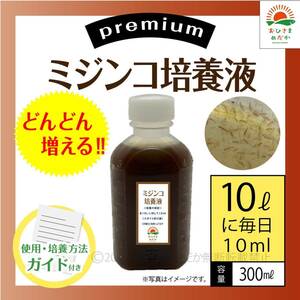 プレミアム【ミジンコ培養液300ml】メダカ卵錦鯉金魚熱帯魚ゾウリムシめだかタマミジンコ オオミジンコ PSBとクロレラと青水併用可