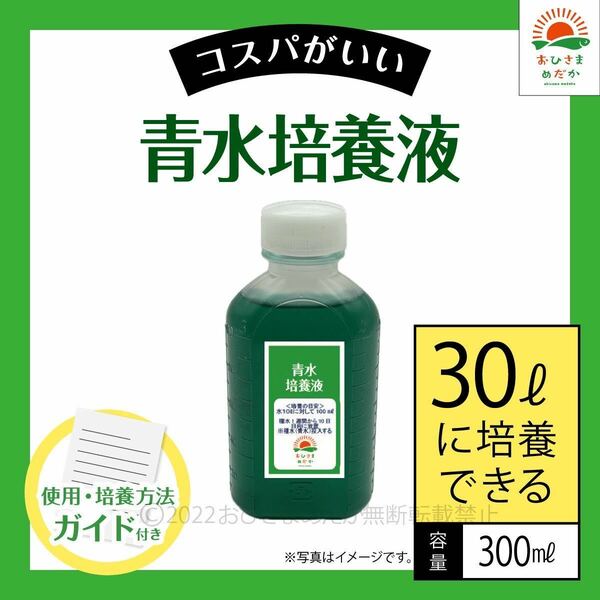 【青水グリーンウォーター培養液（300ml）30L培養分】メダカ卵針子稚魚に金魚錦鯉らんちゅうミジンコゾウリムシクロレラPSBミドリムシなど