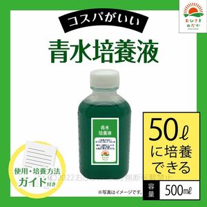 【青水グリーンウォーター培養液（500ml）50L培養分】メダカ卵針子稚魚に金魚錦鯉らんちゅうミジンコゾウリムシクロレラPSBミドリムシなど