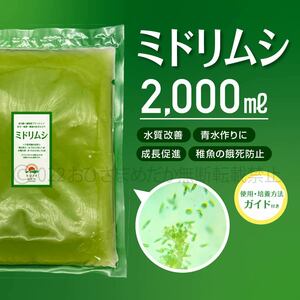 超濃縮　ミドリムシ　2000ml　めだか　メダカ　針子　エサ 稚魚 ベタ　psb　 金魚　ミジンコ　クロレラ　ゾウリムシ の培養ガイド付き