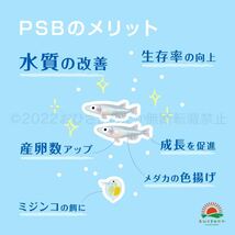 Sale【8倍コスパ　PSB　光合成細菌　1800ml　送料無料】メダカ 　ミジンコ　ゾウリムシの培養　クロレラ　金魚 らんちゅう ベタ　稚魚　に_画像3