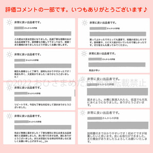 【ゾウリムシ 種水 増量中 700ml 送料無料】 めだか メダカ 針子 らんちゅう ベタ 稚魚  psb  金魚 ミジンコ クロレラ などにの画像5