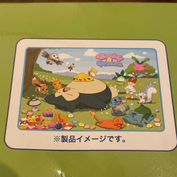 ポケモン 100×150 ルームマット カビゴン ピカチュウ モクロー ヒバニー イーブイ Pokemon マット新品未使用