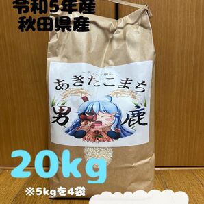 3/31まで限定価格！農家直送　令和5年産　秋田県産　あきたこまち　20キロ