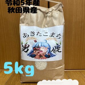 3/31まで限定価格！農家直送　令和5年産　秋田県産　あきたこまち　5キロ