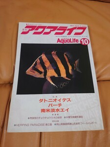  最終出品アクアライフ 1995年10月号 ダトニオイデス パーチ 淡水エイ