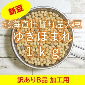 【訳ありB品】令和5年産 北海道壮瞥町産大豆1㎏