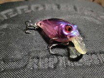 ★Megabass★SR-X GRIFFON メガバス グリフォン SS VIOLET(SP-C) 限定生産 セイナスペシャルカラー 美中古品 Length 45mm Weight 1/4oz _画像6