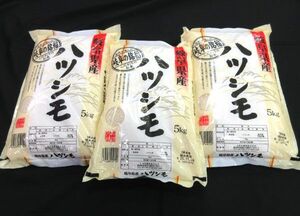 送料300円(税込)■az087■◎米 岐阜県産 ハツシモ 5kg 3袋【シンオク】