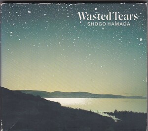 ★CD WASTED TEARS ウェステッド・ティアーズ 全10曲収録 *浜田省吾 歌詞カード付