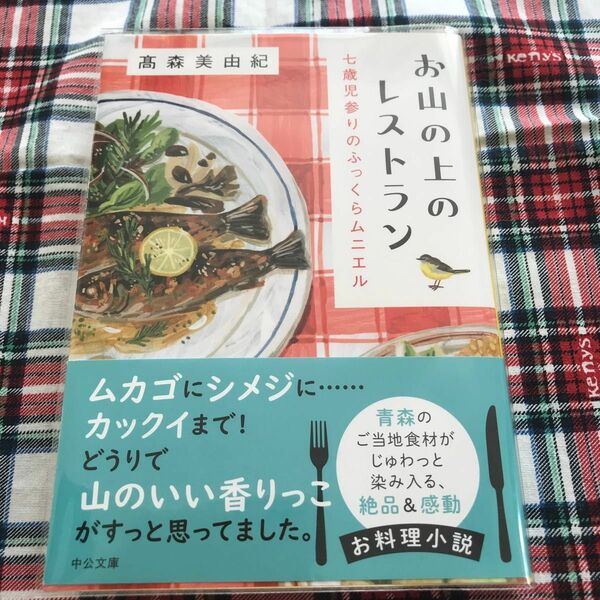 透明カバー付き　お山の上のレストラン