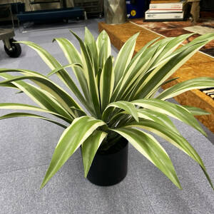 新品 アガベ 大型 60cm フェイクグリーン ツリー植物 人口観葉植物 インテリアグリーン アートフラワーアレンジ お洒落 迫力 造花 店舗