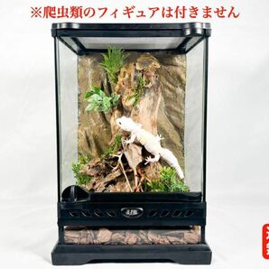 爬虫類ケージ(レイアウト済み品)(レオパ ニシアフ)