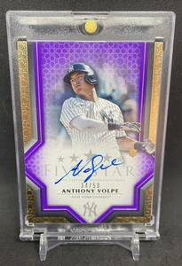 【激レア】スーパールーキー!! mlb topps five star 2023 auto anthony volpe rc 50枚限定 直筆サインカード