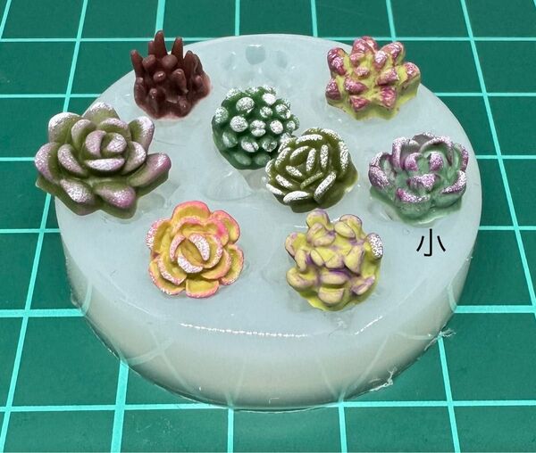 【多肉植物8種 小】シリコンモールド エケベリア 韓国苗 フラワーリース
