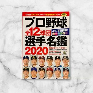 プロ野球12球団 全選手完全名鑑 2020