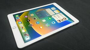 【動作品♪】Apple iPad 5 第5世代 Wi-Fi＋Cellular 32GB A1823(MP1L2J/A)シルバー