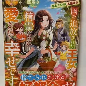 3/27 レジーナブックス 「お前は魔女にでもなるつもりか」と蔑まれ国を追放された王女だけど、精霊たちに愛されて幸せです 四馬タ にわ田の画像1