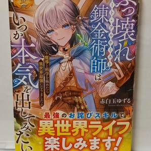 3/27 レジーナブックス ぶっ壊れ錬金術師はいつか本気を出してみたい 魔導と科学を極めたら異世界最強になりました 赤白玉ゆずる 冬海煌の画像1