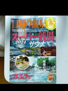 日帰り温泉&スーパー銭湯&サウナ 首都圏版 2024