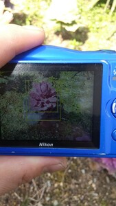 NIKON coolpix w100 