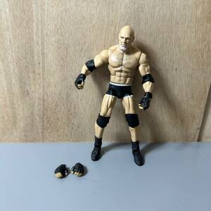 ☆MATTEL マテル WWE WWF プロレス Bill Goldberg ビル・ゴールドバーグ プロレスラー アクション フィギュア(中古品/現状品/保管品)☆