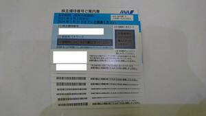 60093 ANA 全日空 株主優待券 搭乗期限2024年5月31日まで 10枚セット