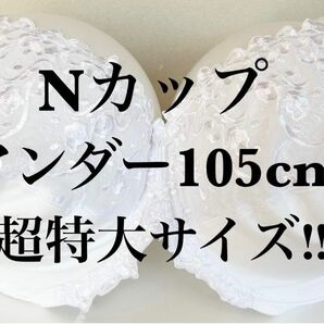 Nカップ■アンダー105■ブラジャー■超大きいサイズ■特大サイズ■グラマーサイズ■海外サイズ■白