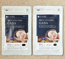 【送料無料】GABA ギャバ　約2ヶ月分 (1ヶ月分30粒入×2袋)　疲れ 休息 リラックス 睡眠サポート　サプリメント　シードコムス_画像1