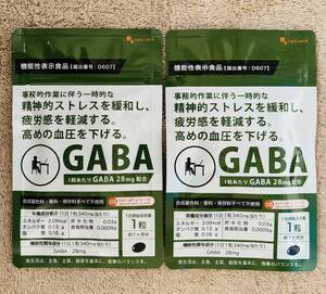 【送料無料】GABA 約2ヶ月分(1ヶ月分30粒×2袋) 機能性表示食品 血圧 ストレス 軽減 ギャバ 亜麻仁油 高麗人参　サプリメント オーガランド